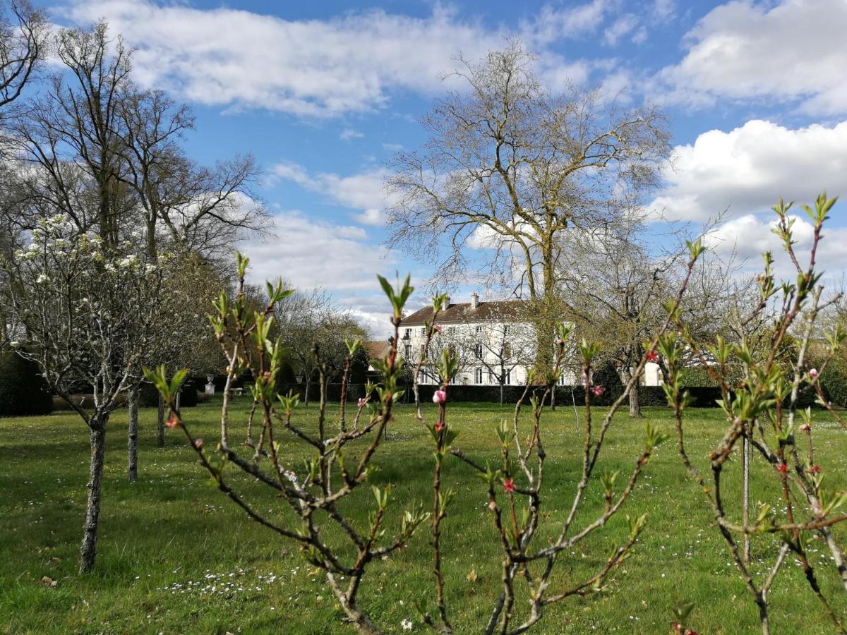 Chateau De Brinville Saint-Sauveur-sur-Ecole المظهر الخارجي الصورة