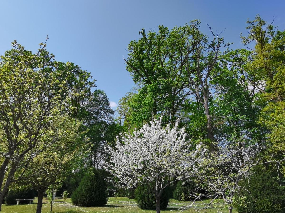 Chateau De Brinville Saint-Sauveur-sur-Ecole المظهر الخارجي الصورة