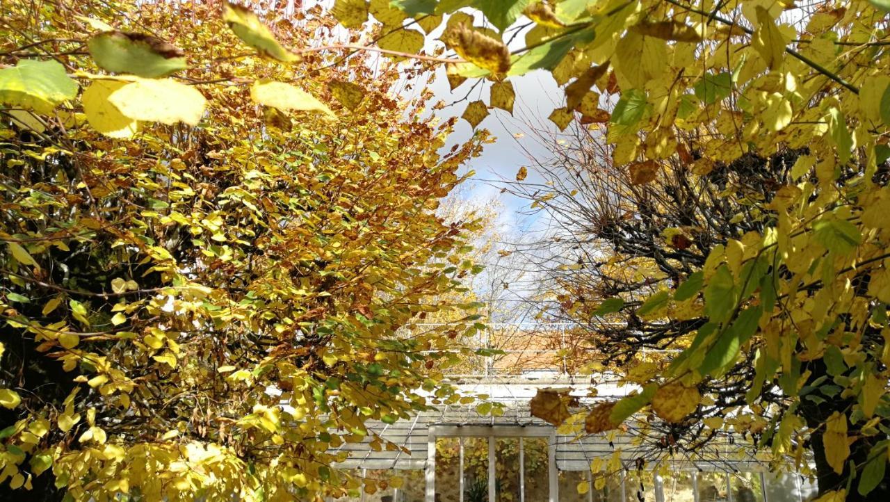 Chateau De Brinville Saint-Sauveur-sur-Ecole المظهر الخارجي الصورة