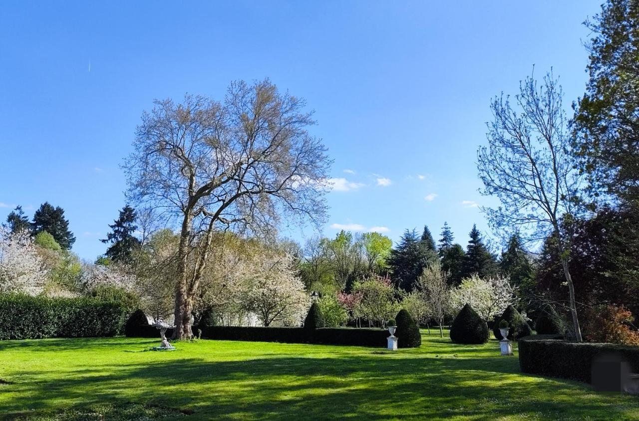 Chateau De Brinville Saint-Sauveur-sur-Ecole المظهر الخارجي الصورة